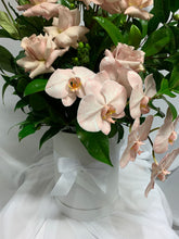 Load image into Gallery viewer, The Luxe Roma