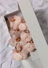 Load image into Gallery viewer, Phalaenopsis Orchids Stem Box