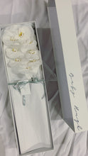 Load image into Gallery viewer, Phalaenopsis Orchids Stem Box
