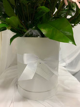 Load image into Gallery viewer, The Luxe Roma