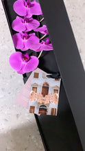 Load image into Gallery viewer, Phalaenopsis Orchids Stem Black Box