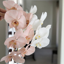 Load image into Gallery viewer, Phalaenopsis Orchid Stems Wrapped