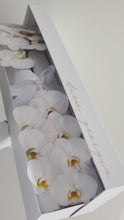 Load image into Gallery viewer, Phalaenopsis Orchids Stem Box