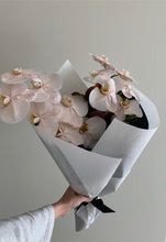 Load image into Gallery viewer, Phalaenopsis Orchid Stems Wrapped