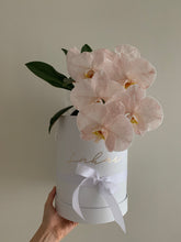 Load image into Gallery viewer, Phalaenopsis Orchids Stem Hat Box
