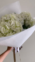 Load image into Gallery viewer, Hydrangea
