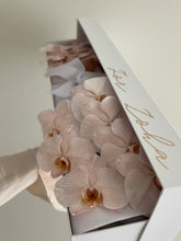 Load image into Gallery viewer, Phalaenopsis Orchids Stem Box