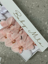 Load image into Gallery viewer, Phalaenopsis Orchids Stem Box
