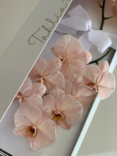 Load image into Gallery viewer, Phalaenopsis Orchids Stem Box