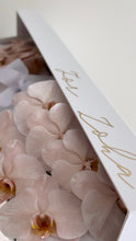 Load image into Gallery viewer, Phalaenopsis Orchids Stem Box