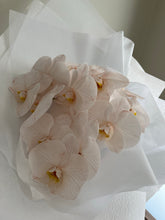 Load image into Gallery viewer, Phalaenopsis Orchid Stems Wrapped