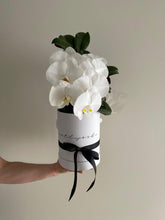 Load image into Gallery viewer, Phalaenopsis Orchids Stem Hat Box