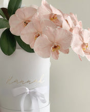 Load image into Gallery viewer, Phalaenopsis Orchids Stem Hat Box