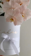 Load image into Gallery viewer, Phalaenopsis Orchids Stem Hat Box