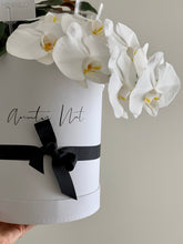 Load image into Gallery viewer, Phalaenopsis Orchids Stem Hat Box