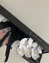 Load image into Gallery viewer, Phalaenopsis Orchids Stem Black Box