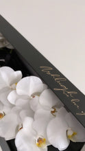 Load image into Gallery viewer, Phalaenopsis Orchids Stem Black Box