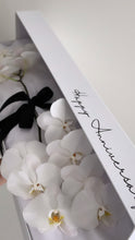 Load image into Gallery viewer, Phalaenopsis Orchids Stem Box