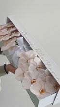 Load image into Gallery viewer, Phalaenopsis Orchids Stem Box