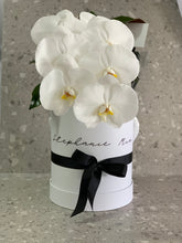 Load image into Gallery viewer, Phalaenopsis Orchids Stem Hat Box