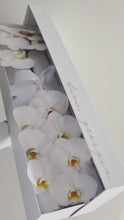 Load image into Gallery viewer, Phalaenopsis Orchids Stem Box
