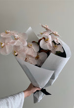 Load image into Gallery viewer, Phalaenopsis Orchid Stems Wrapped
