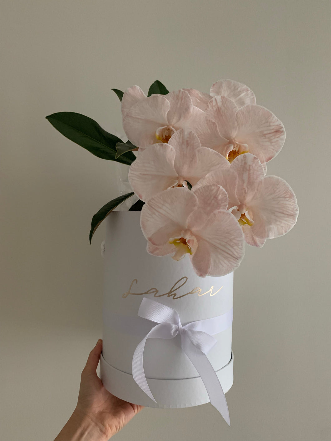 Phalaenopsis Orchids Stem Hat Box
