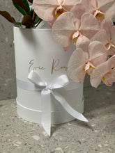 Load image into Gallery viewer, Phalaenopsis Orchids Stem Hat Box
