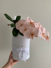 Load image into Gallery viewer, Phalaenopsis Orchids Stem Hat Box

